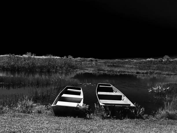 Nature in the Netherlands. Silence
