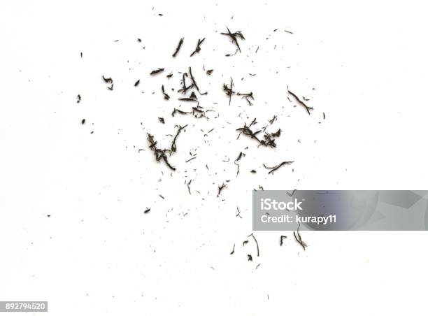 Eraser Scrap On White Background Stock Photo - Download Image Now - Eraser, Dust, Rubber - Material