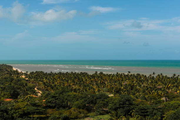 istock Porto Seguro, Bahia - Brazil (Trancoso) 892803920