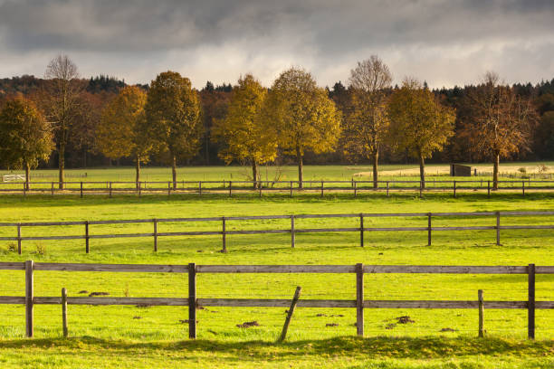 istock horse pasture in autumn 892807600