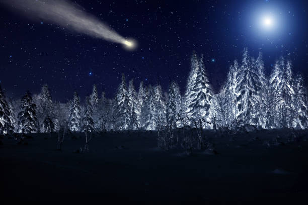 Moon and comet over night winter forest. Night sky with stars. Winter night landscape. Spruce forest in winder