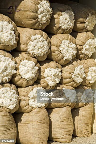 エジプト綿 100 - 木綿のストックフォトや画像を多数ご用意 - 木綿, 100パーセント, 生