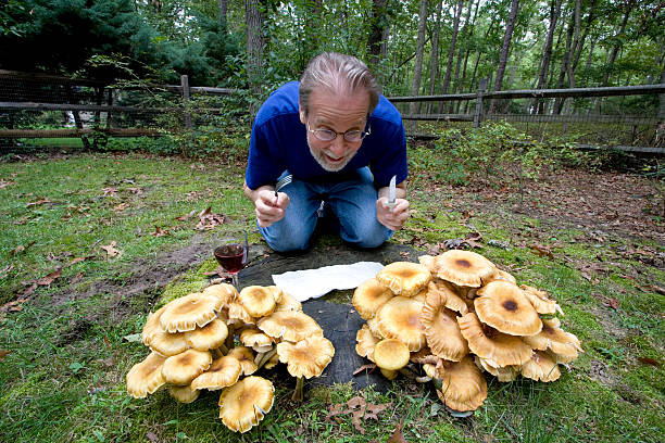 Uomo e funghi - foto stock