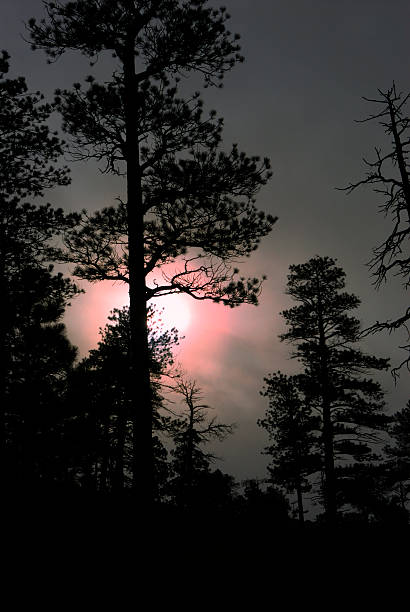 istock Sunrise At Bryce Canyon National Park 89282704