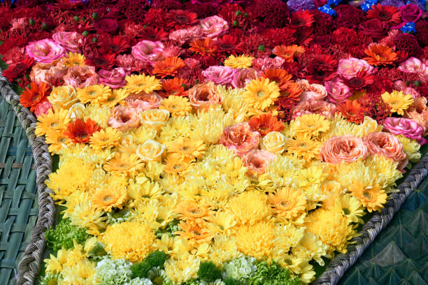 istock Beautiful colorful  flowers background. Top view 892833670