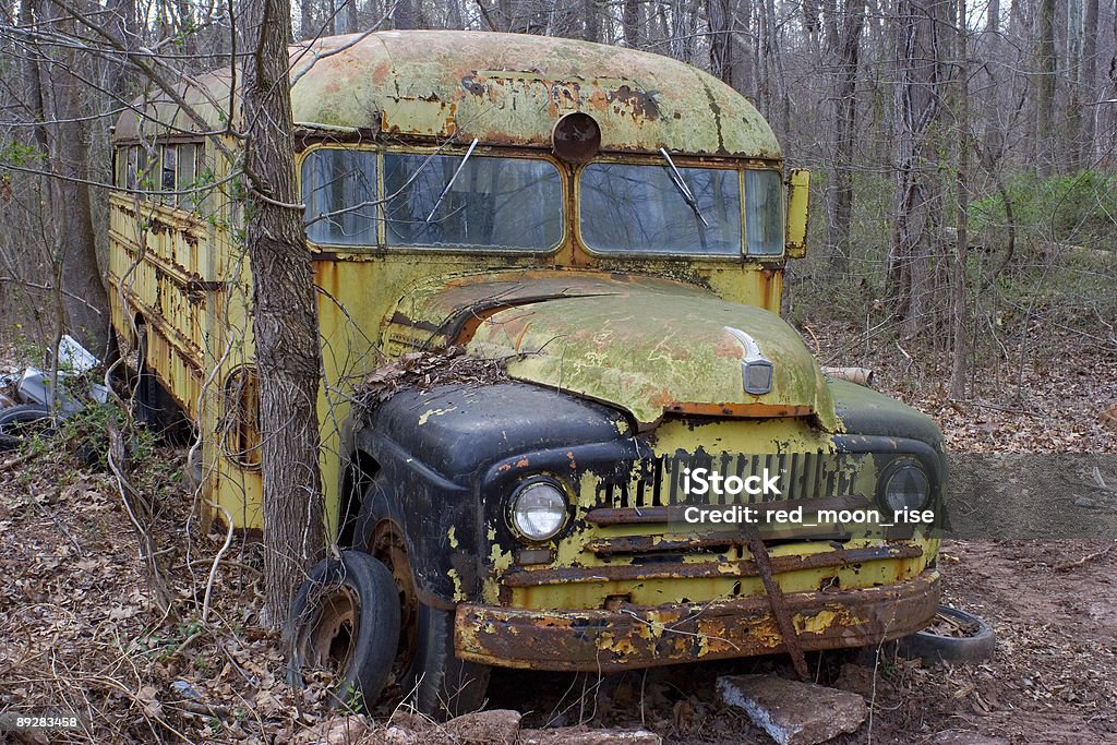 El autobús hasta la selva - Foto de stock de Autocar libre de derechos