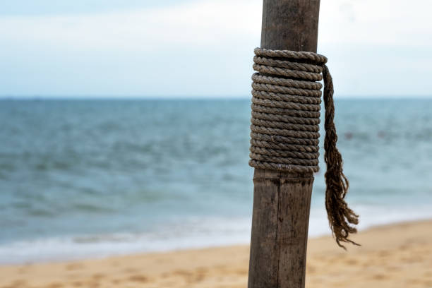 istock Old wooden pole on the beach in summer. 892840208