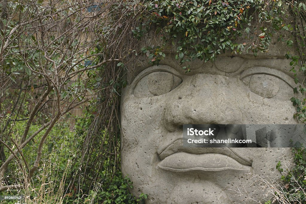 Jardin du visage - Photo de Arbre en fleurs libre de droits