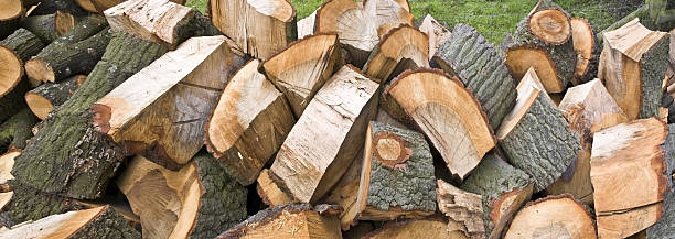 logs  sawmill gravy stock pictures, royalty-free photos & images