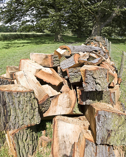 logs  sawmill gravy stock pictures, royalty-free photos & images