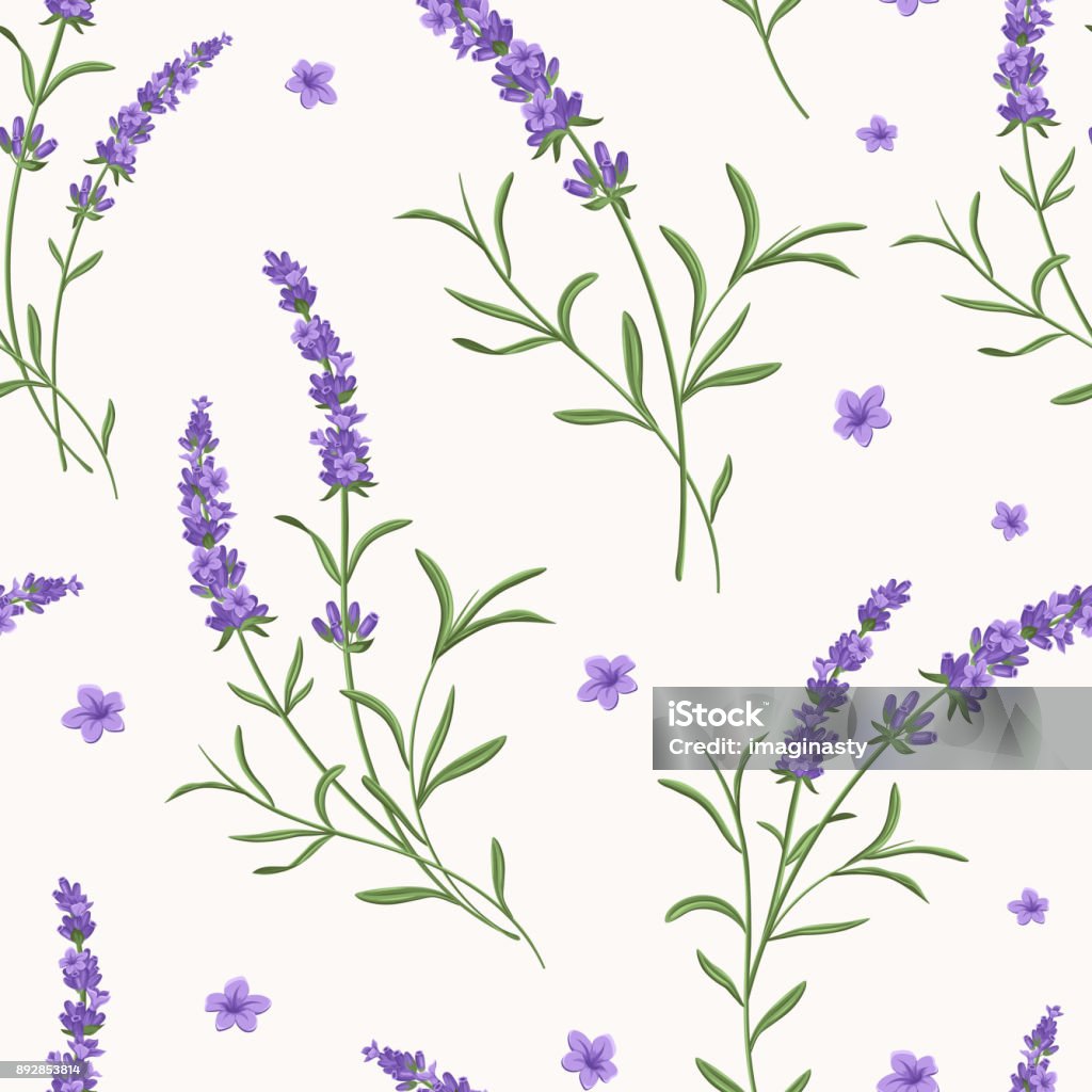 Lavender Pattern Vector Vector Lavender Seamless Pattern Stock Illustration - Download Image ...
