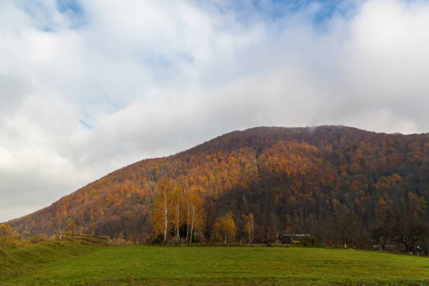 istock autumn landscape in the Carpathians 892854276