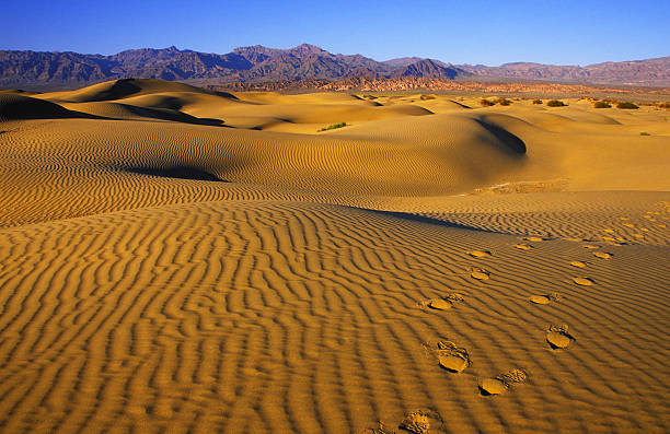 istock Footsteps on rippled sand dunes in Death Valley 89285890