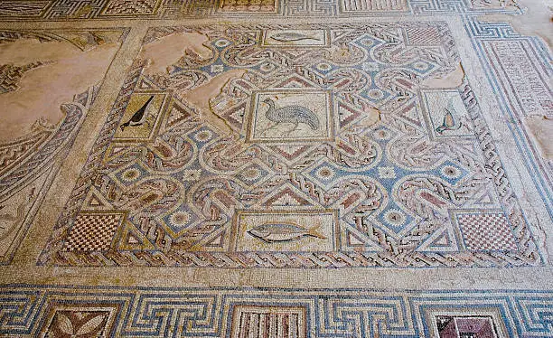 A Roman floor mosaic o=in Kourion, Cyprus.