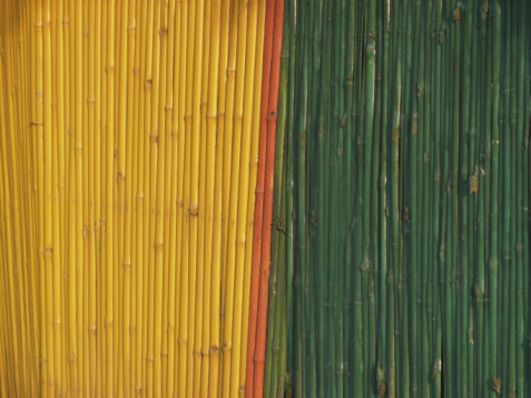 Home partition made out of yellow & green bamboos.