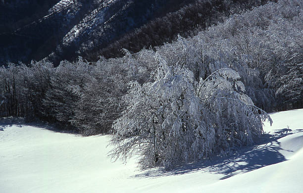 Appennino in winter stock photo