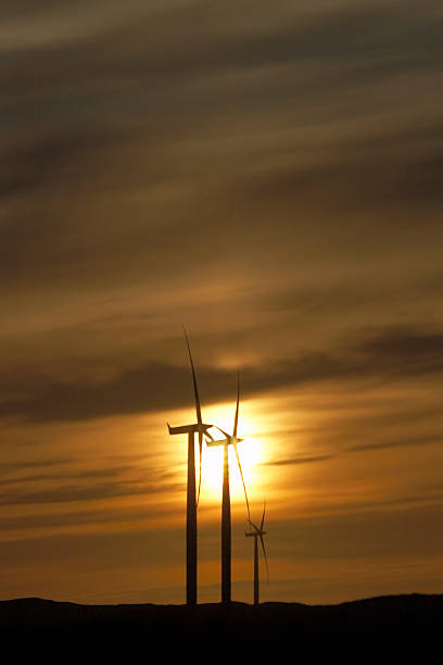 Wind turbines alone against sunset, silhouette stock photo