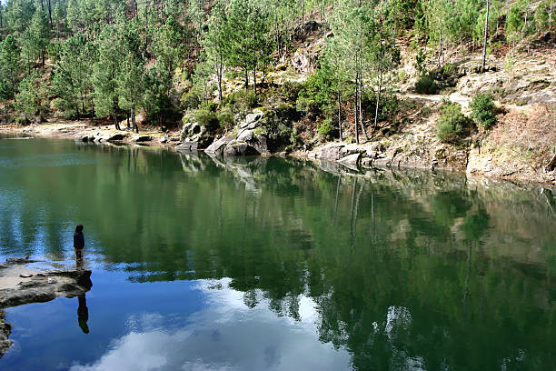 beautiful landscape stock photo