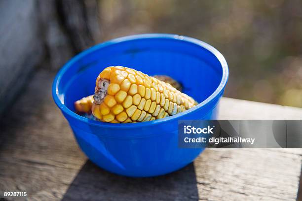 Mais In Una Ciotola - Fotografie stock e altre immagini di Agricoltura - Agricoltura, Ambientazione esterna, Autunno