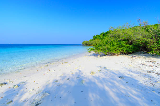 istock beautiful beach blue sky clear water 892876584