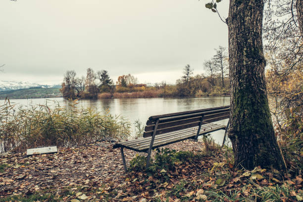 just a photo of nature