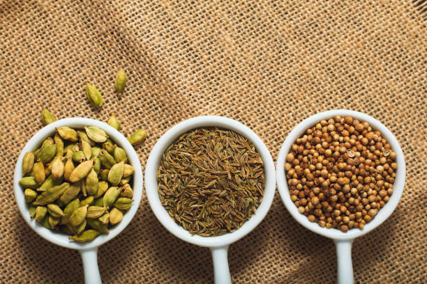 conceito de alimentos vários temperos, sementes de coentro, sementes de cominho e o cardamomo em copos de cerâmicos brancos de saco marrom - brown close up condiment coriander seed - fotografias e filmes do acervo