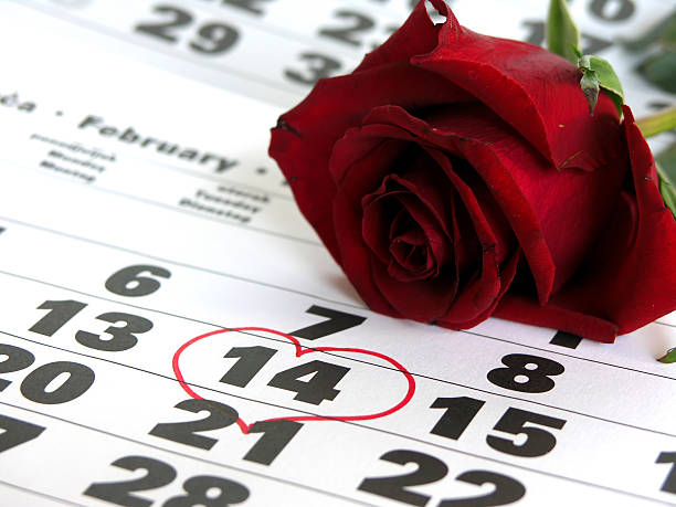 Calendar with red rose stock photo