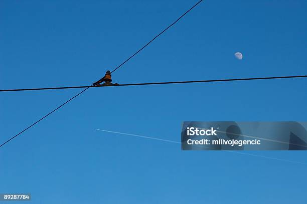 Comunicação - Fotografias de stock e mais imagens de Avião - Avião, Avião Supersónico, Cabo