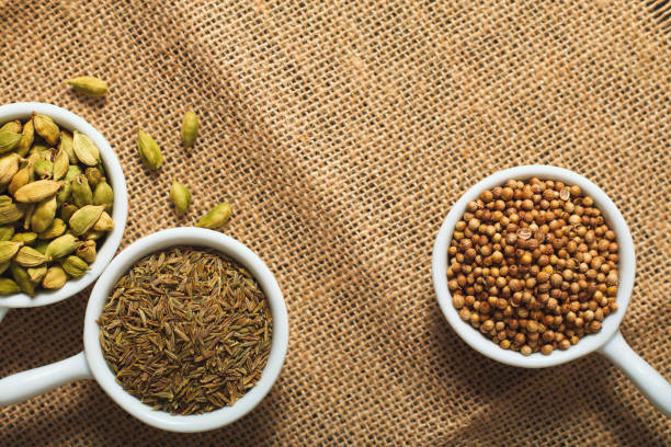 conceito de alimentos vários temperos, sementes de coentro, sementes de cominho e o cardamomo em copos de cerâmicos brancos de saco marrom - brown close up condiment coriander seed - fotografias e filmes do acervo