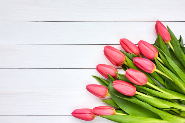 istock Pink tulips bouquet. Copy space, top view 892882684