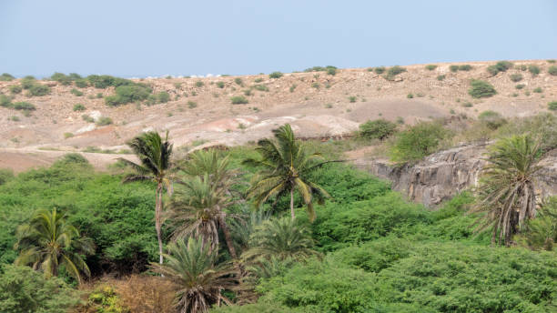 ribeira do rabil wetland to the east of the deserto de viana in boa vista, cape verde - sub saharan africa imagens e fotografias de stock