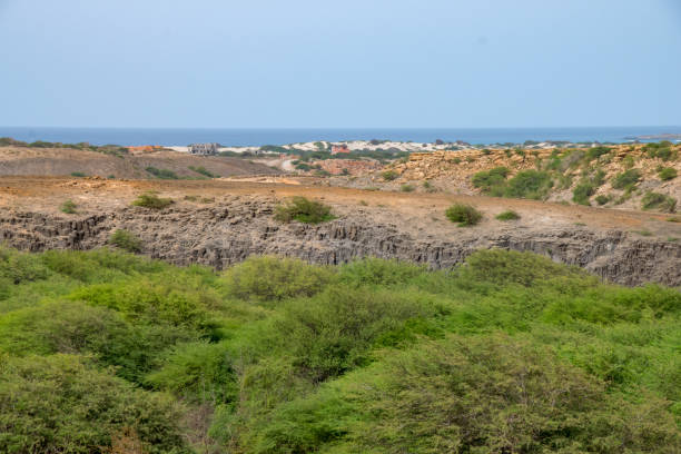 tereny podmokłe ribeira do rabil na wschód od deserto de viana w boa vista, republika zielonego przylądka - sub saharan africa zdjęcia i obrazy z banku zdjęć