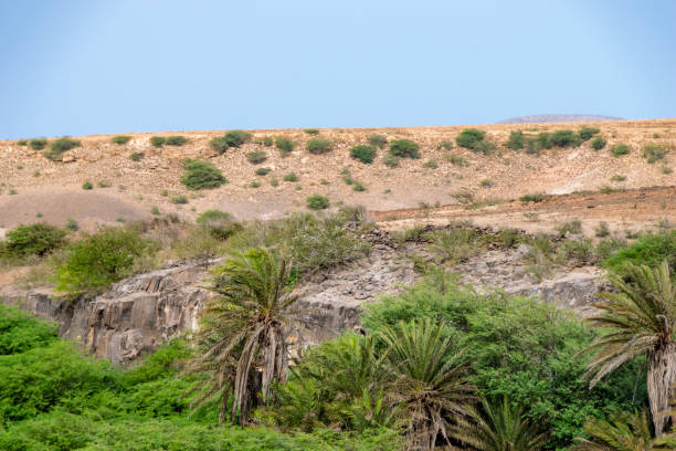 ribeira do rabil wetland to the east of the deserto de viana in boa vista, cape verde - sub saharan africa imagens e fotografias de stock