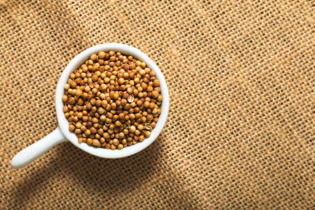 conceito de alimentos especiarias sementes de coentro em copos de cerâmicas brancas de saco marrom - brown close up condiment coriander seed - fotografias e filmes do acervo