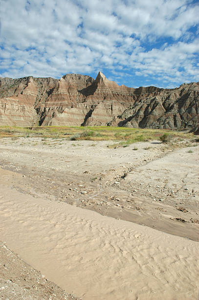 istock Cycles OF Life In The Badlands. 89288801