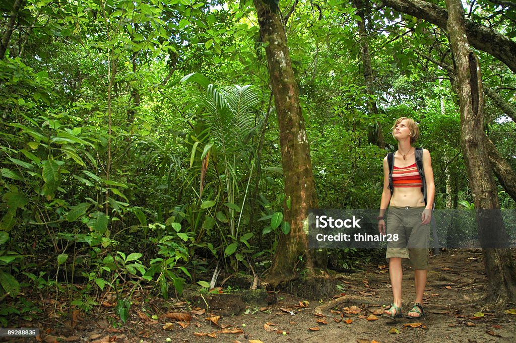 Caminhada na floresta tropical - Foto de stock de Panamá royalty-free