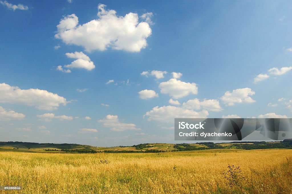 Vista ensolarada no meadow - Foto de stock de Acima royalty-free