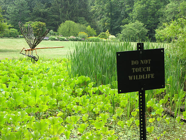 Do Not Touch Wildlife stock photo