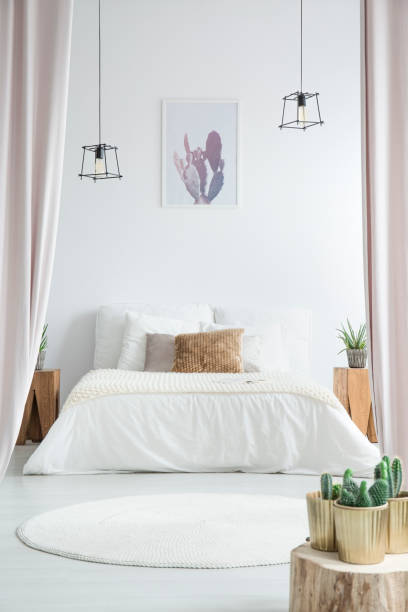 istock Cactus in white bedroom 892891516