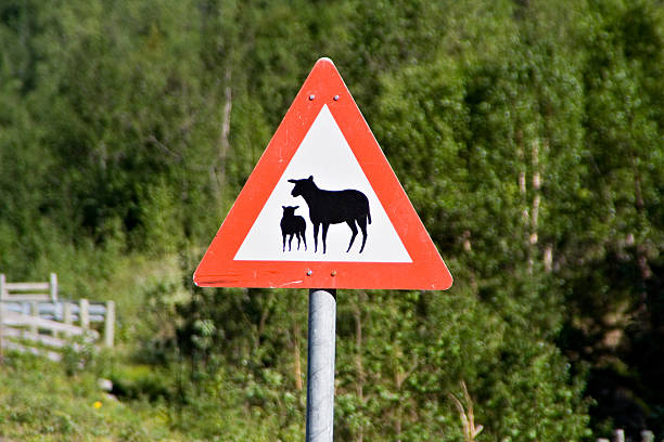 istock Traffic sign in Norway 89289844
