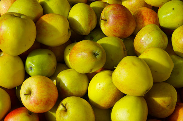 Lot of apples stock photo