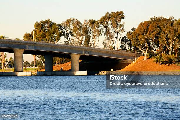 Coastal California Scenaponte - Fotografie stock e altre immagini di Acqua - Acqua, Albero, Ambientazione esterna