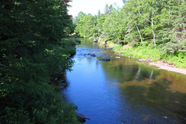 istock Scenic view of a river in Nova Scotia, Canada 892919402