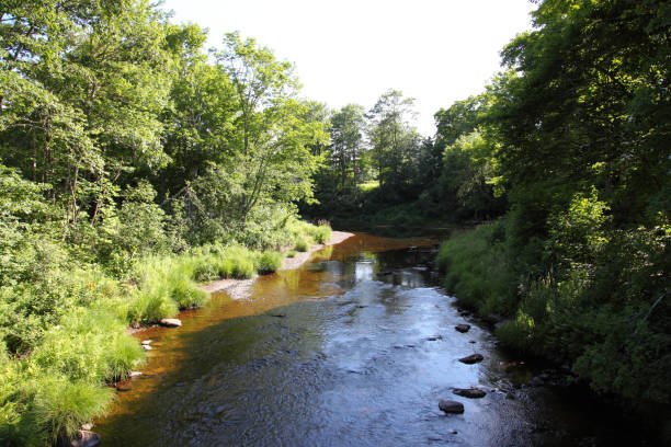 istock Scenic view of a river in Nova Scotia, Canada 892919954
