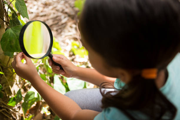 istock Little girl exploring nature through magnifying glass 892941106