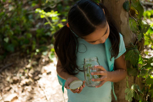 istock Little girl with backpack looking into jar with plant on a sunny day 892944288