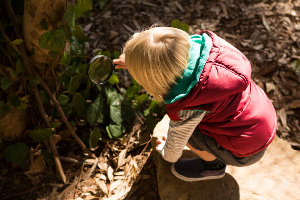 istock Little girl exploring the nature through a magnifying glass 892944714