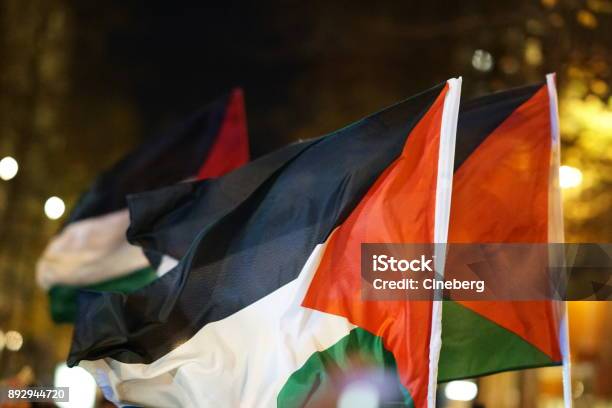 Palestinian Flag Fluttering Stock Photo - Download Image Now - Palestinian, Palestinian Territories, Flag