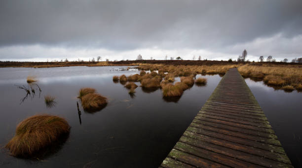 Wooden grating over a black water lake. dark sky, cold atmosphere. Nobody stock photo
