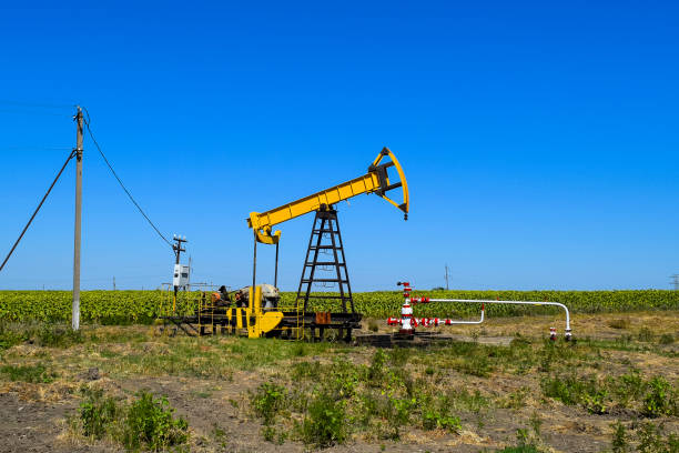istock Pumping unit as the oil pump installed on a well 892948106